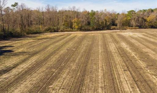 Photo of UNDER CONTRACT!!  53.33 acres of Farm for Sale in Sampson County NC!
