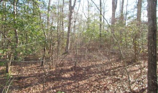 Photo of 21 Acres of Tall Timber in the Countryside of Mathews County Virginia!