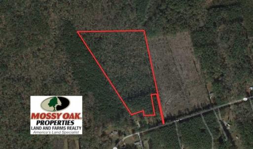 Photo of 21 Acres of Tall Timber in the Countryside of Mathews County Virginia!