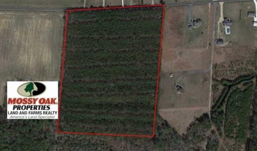 Photo of UNDER CONTRACT!!  20.88  acres of Hunting / Homesite Land for Sale in Accomack County VA