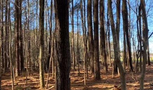 Photo of UNDER CONTRACT!!  20.88  acres of Hunting / Homesite Land for Sale in Accomack County VA