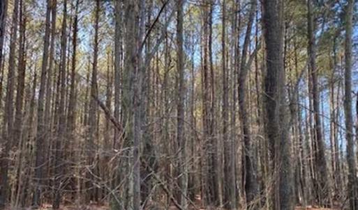 Photo of UNDER CONTRACT!!  20.88  acres of Hunting / Homesite Land for Sale in Accomack County VA