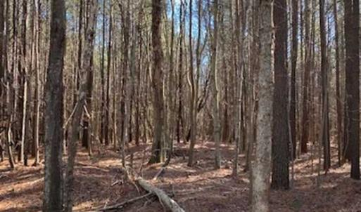 Photo of UNDER CONTRACT!!  20.88  acres of Hunting / Homesite Land for Sale in Accomack County VA