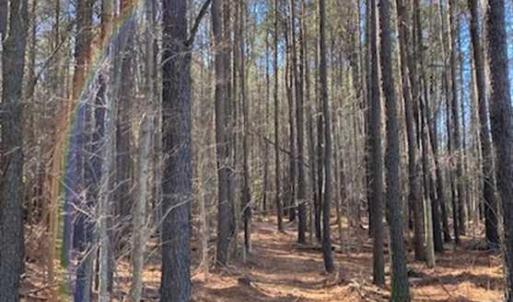 Photo of UNDER CONTRACT!!  20.88  acres of Hunting / Homesite Land for Sale in Accomack County VA
