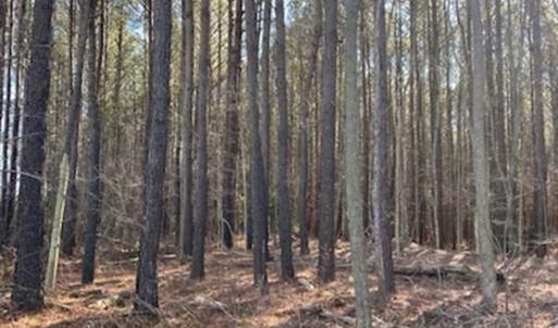 Photo of UNDER CONTRACT!!  20.88  acres of Hunting / Homesite Land for Sale in Accomack County VA