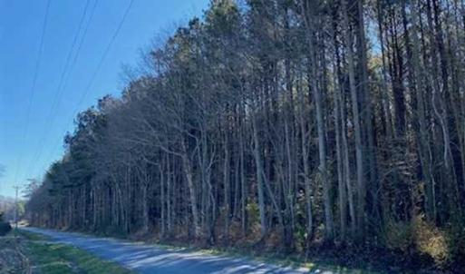 Photo of UNDER CONTRACT!!  20.88  acres of Hunting / Homesite Land for Sale in Accomack County VA