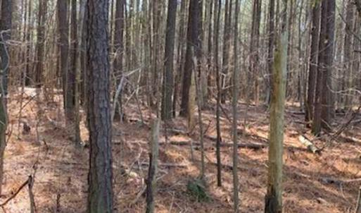 Photo of UNDER CONTRACT!!  20.88  acres of Hunting / Homesite Land for Sale in Accomack County VA