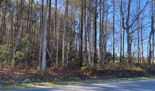 Photo of UNDER CONTRACT!!  20.88  acres of Hunting / Homesite Land for Sale in Accomack County VA
