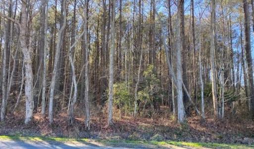 Photo of UNDER CONTRACT!!  20.88  acres of Hunting / Homesite Land for Sale in Accomack County VA