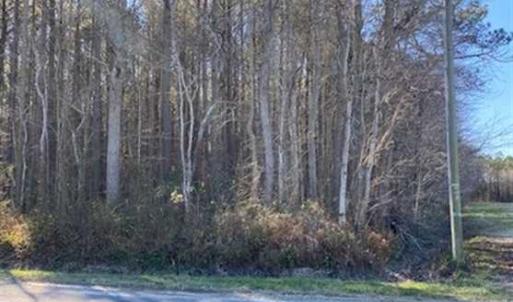 Photo of UNDER CONTRACT!!  20.88  acres of Hunting / Homesite Land for Sale in Accomack County VA