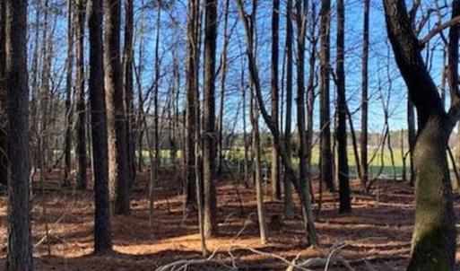 Photo of UNDER CONTRACT!!  20.88  acres of Hunting / Homesite Land for Sale in Accomack County VA