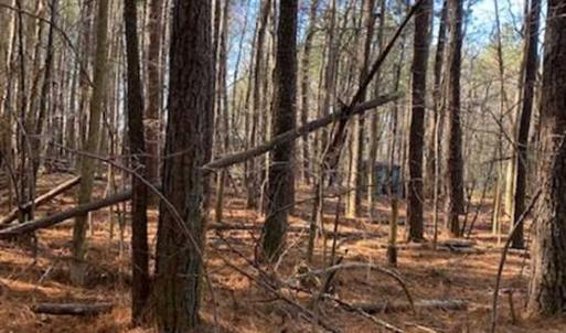 Photo of UNDER CONTRACT!!  20.88  acres of Hunting / Homesite Land for Sale in Accomack County VA