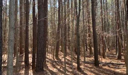 Photo of UNDER CONTRACT!!  20.88  acres of Hunting / Homesite Land for Sale in Accomack County VA