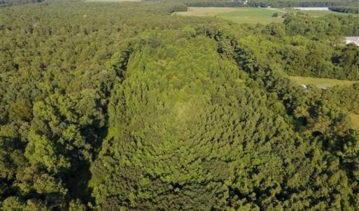 Photo of UNDER CONTRACT!!  13 Acres of Hunting Land For Sale in Edgecombe County NC!