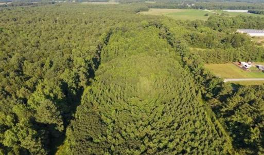 Photo of UNDER CONTRACT!!  13 Acres of Hunting Land For Sale in Edgecombe County NC!