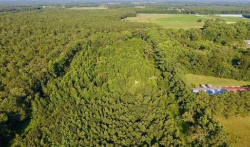 Photo of UNDER CONTRACT!!  13 Acres of Hunting Land For Sale in Edgecombe County NC!