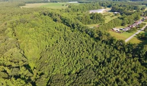 Photo of UNDER CONTRACT!!  13 Acres of Hunting Land For Sale in Edgecombe County NC!