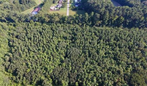 Photo of UNDER CONTRACT!!  13 Acres of Hunting Land For Sale in Edgecombe County NC!