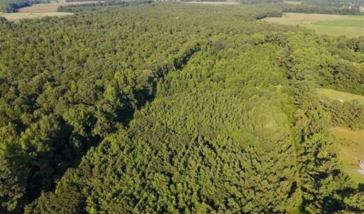 Photo of UNDER CONTRACT!!  13 Acres of Hunting Land For Sale in Edgecombe County NC!