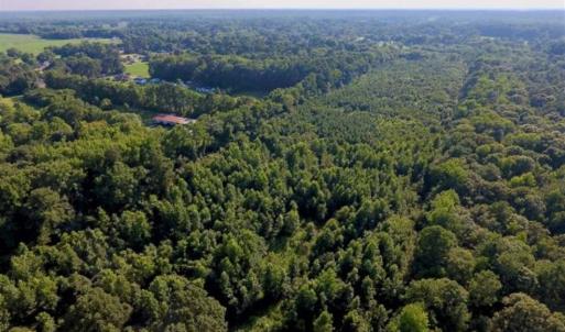 Photo of UNDER CONTRACT!!  13 Acres of Hunting Land For Sale in Edgecombe County NC!