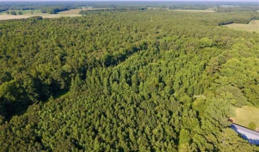 Photo of UNDER CONTRACT!!  13 Acres of Hunting Land For Sale in Edgecombe County NC!