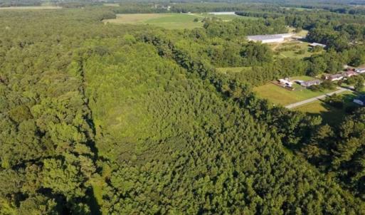 Photo of UNDER CONTRACT!!  13 Acres of Hunting Land For Sale in Edgecombe County NC!