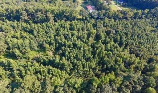 Photo of UNDER CONTRACT!!  13 Acres of Hunting Land For Sale in Edgecombe County NC!