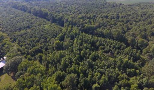 Photo of UNDER CONTRACT!!  13 Acres of Hunting Land For Sale in Edgecombe County NC!