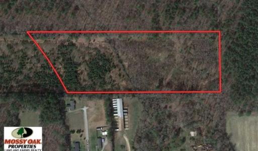Photo of UNDER CONTRACT!!  13 Acres of Hunting Land For Sale in Edgecombe County NC!