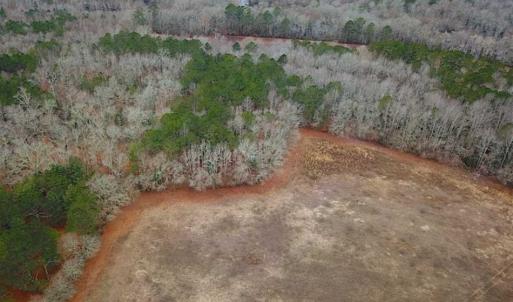 Photo of UNDER CONTRACT!!  42 Acres with 2,000 feet of River Frontage in Isle of Wight County Virginia!