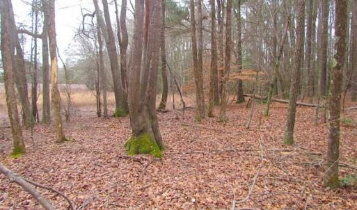 Photo of UNDER CONTRACT!!  42 Acres with 2,000 feet of River Frontage in Isle of Wight County Virginia!