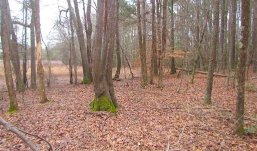 Photo of UNDER CONTRACT!!  42 Acres with 2,000 feet of River Frontage in Isle of Wight County Virginia!
