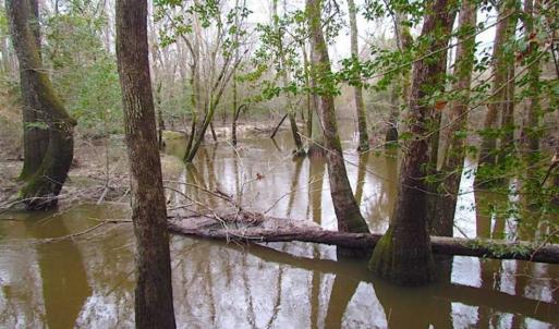 Photo of UNDER CONTRACT!!  42 Acres with 2,000 feet of River Frontage in Isle of Wight County Virginia!