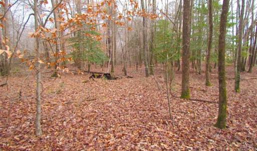Photo of UNDER CONTRACT!!  42 Acres with 2,000 feet of River Frontage in Isle of Wight County Virginia!