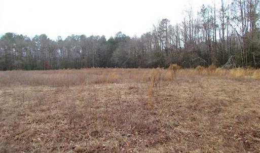 Photo of UNDER CONTRACT!!  42 Acres with 2,000 feet of River Frontage in Isle of Wight County Virginia!