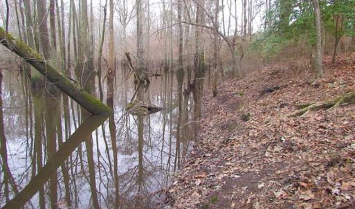 Photo of UNDER CONTRACT!!  42 Acres with 2,000 feet of River Frontage in Isle of Wight County Virginia!