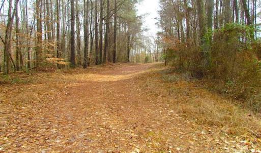 Photo of UNDER CONTRACT!!  42 Acres with 2,000 feet of River Frontage in Isle of Wight County Virginia!
