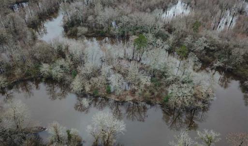 Photo of UNDER CONTRACT!!  42 Acres with 2,000 feet of River Frontage in Isle of Wight County Virginia!