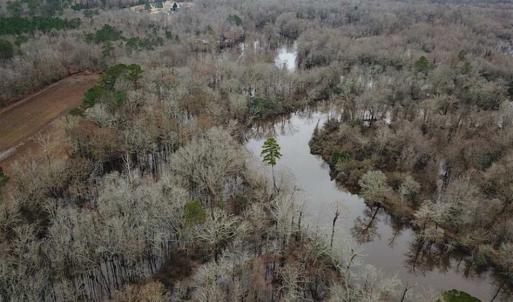 Photo of UNDER CONTRACT!!  42 Acres with 2,000 feet of River Frontage in Isle of Wight County Virginia!