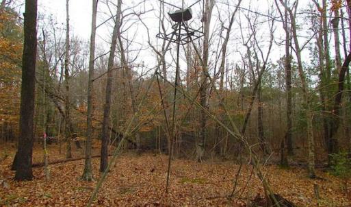 Photo of UNDER CONTRACT!!  42 Acres with 2,000 feet of River Frontage in Isle of Wight County Virginia!