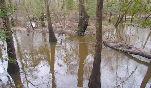 Photo of UNDER CONTRACT!!  42 Acres with 2,000 feet of River Frontage in Isle of Wight County Virginia!