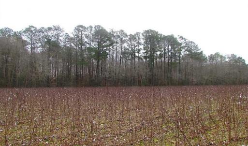 Photo of UNDER CONTRACT!!  42 Acres with 2,000 feet of River Frontage in Isle of Wight County Virginia!