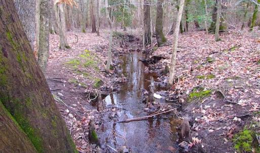 Photo of UNDER CONTRACT!!  42 Acres with 2,000 feet of River Frontage in Isle of Wight County Virginia!