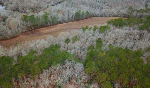 Photo of UNDER CONTRACT!!  42 Acres with 2,000 feet of River Frontage in Isle of Wight County Virginia!