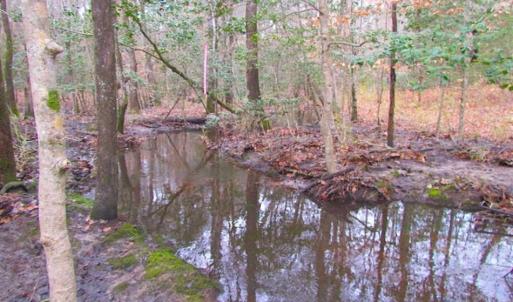 Photo of UNDER CONTRACT!!  42 Acres with 2,000 feet of River Frontage in Isle of Wight County Virginia!