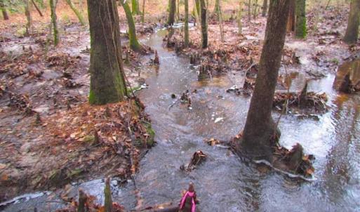 Photo of UNDER CONTRACT!!  42 Acres with 2,000 feet of River Frontage in Isle of Wight County Virginia!