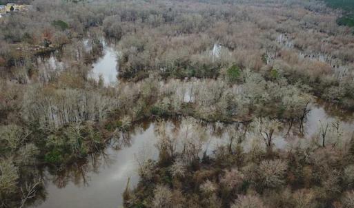 Photo of UNDER CONTRACT!!  42 Acres with 2,000 feet of River Frontage in Isle of Wight County Virginia!