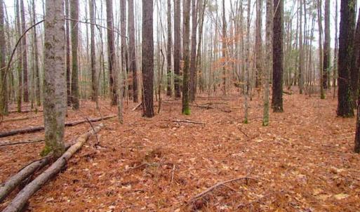 Photo of UNDER CONTRACT!!  42 Acres with 2,000 feet of River Frontage in Isle of Wight County Virginia!