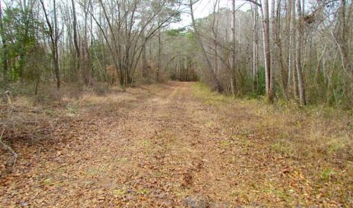Photo of UNDER CONTRACT!!  42 Acres with 2,000 feet of River Frontage in Isle of Wight County Virginia!