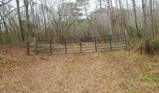 Photo of UNDER CONTRACT!!  42 Acres with 2,000 feet of River Frontage in Isle of Wight County Virginia!